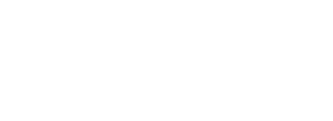 Metrocarrier